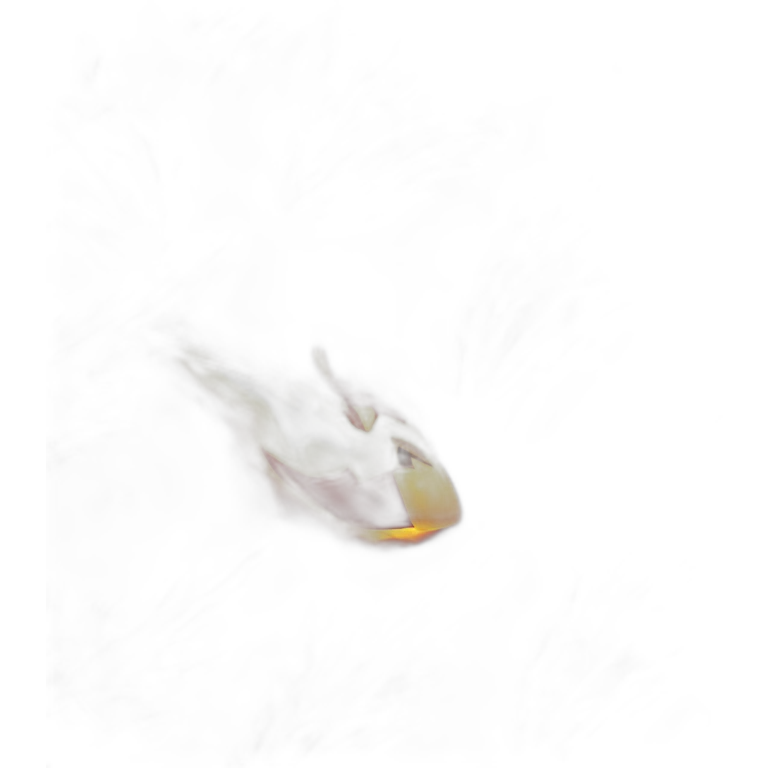 the flash on fire emoji