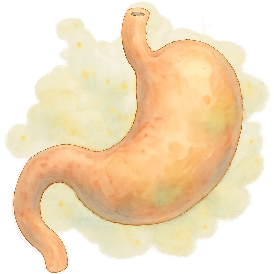 ghibli style soft and whimsical empty stomach emoji
