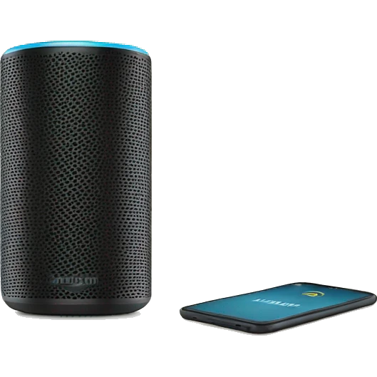 Amazon Alexa speaker emoji