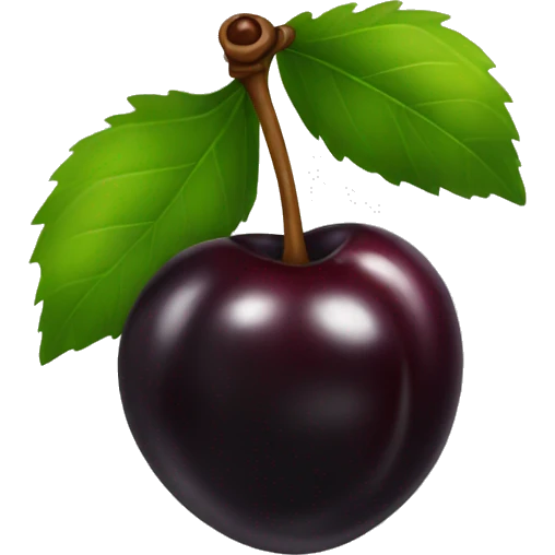 Black cherries emoji