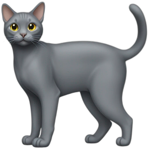 Korat Cat Full Body emoji