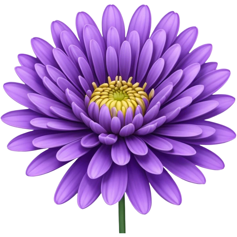 single Lavender Chrysanthemum, straight stem emoji