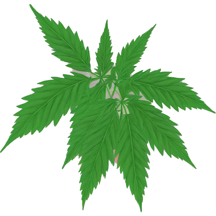 420 hemp person hemp plants chill hemp leaves vaporwave 420 emoji