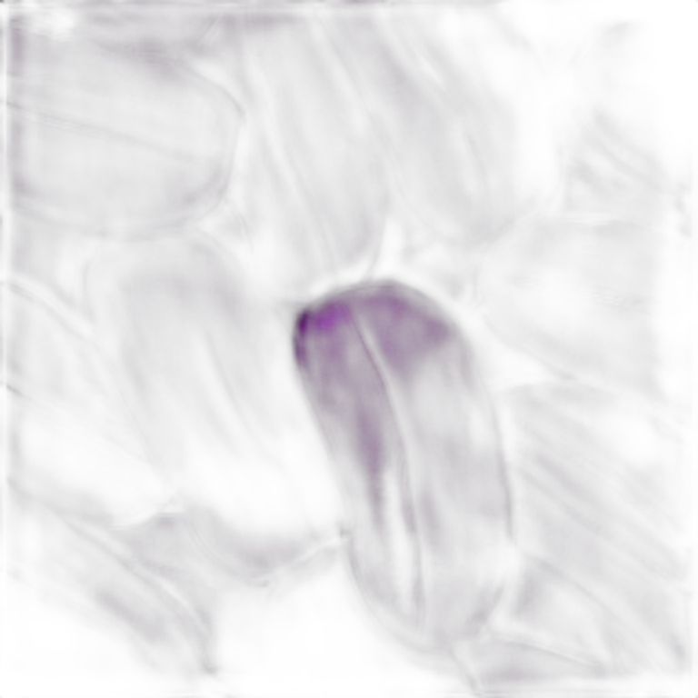 purple yam emoji