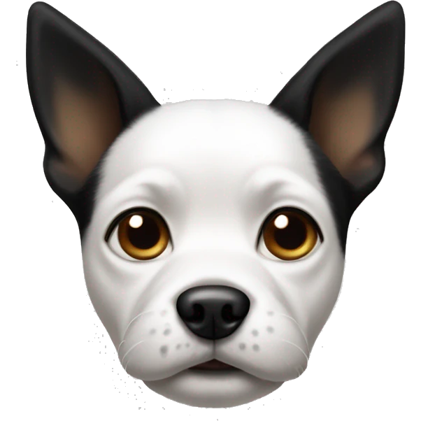 small white and black dog with pointy ears  emoji