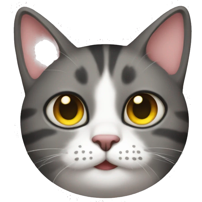 A gay cat emoji
