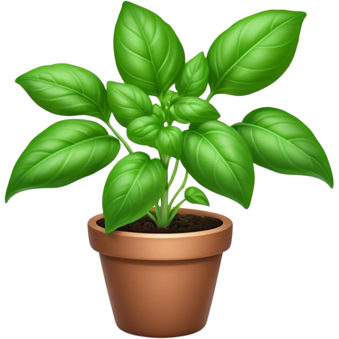 Cinematic Realistic Basil Emoji, Lush and fragrant, with vibrant green leaves that release a fresh, herbal aroma. The soft, glossy leaves are delicately arranged along slender stems, exuding vitality and flavor. Soft glowing outline, capturing the essence of freshness, growth, and aromatic delight in a blossoming basil plant! emoji