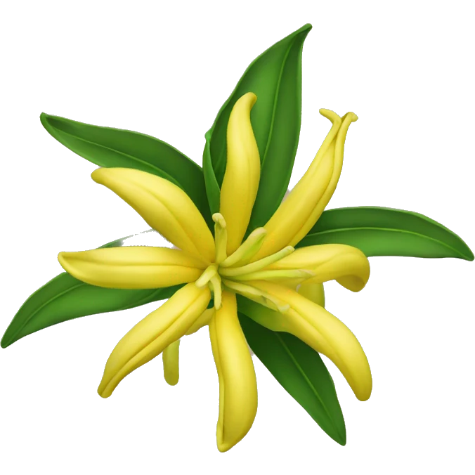 ylang ylang flower emoji