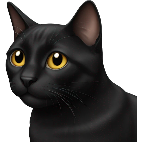 black cat named floyd emoji