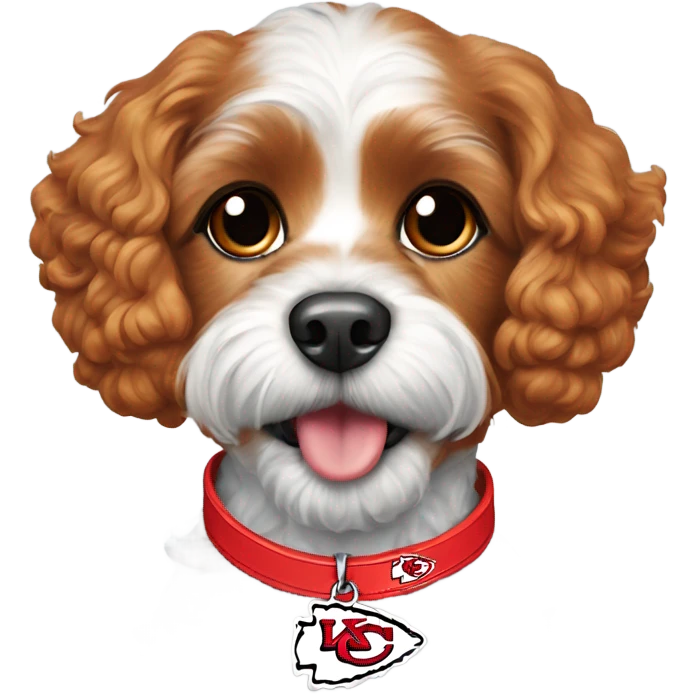 red cavapoo wearing a kansas city chiefs collar emoji