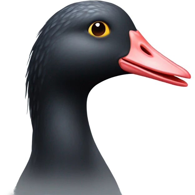 coot realistic emoji emoji
