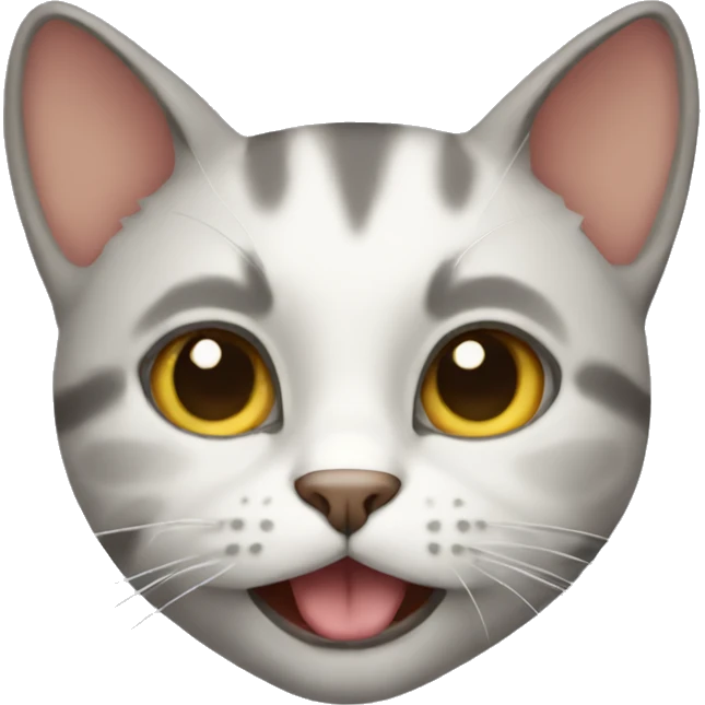 cat emoji