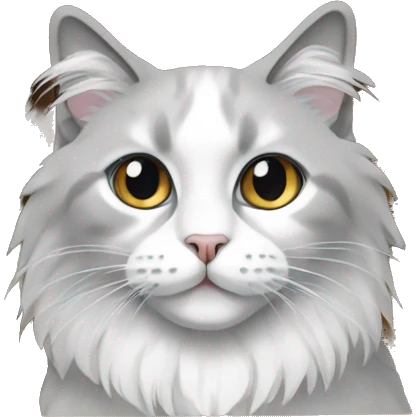 A White and Grey Ragdoll Cat in a paper box emoji