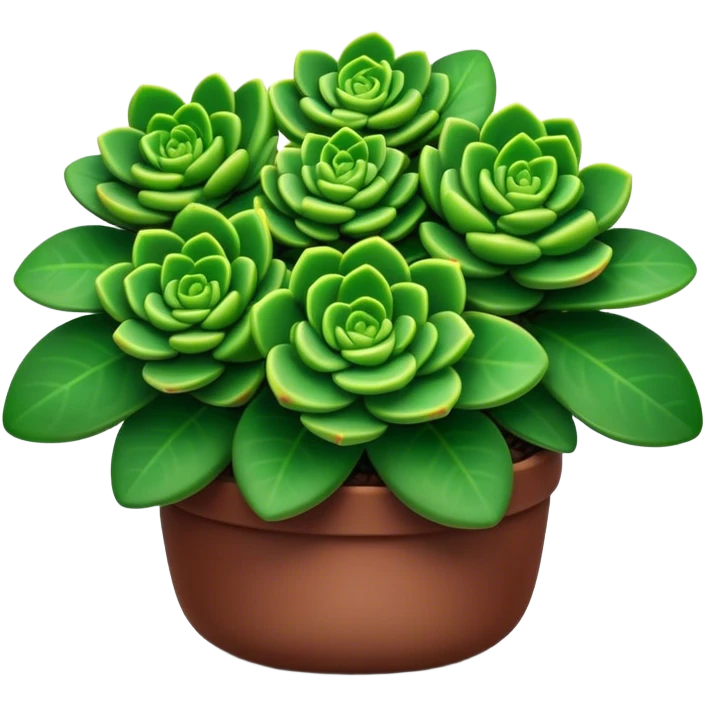 Cinematic Realistic Crassula Emoji, Compact and vibrant, with small, fleshy leaves arranged in thick, rounded clusters. The deep green hue of the leaves radiates calm, while their structured growth speaks of endurance. Soft glowing outline, capturing the essence of perseverance and tranquility in a crassula plant! emoji