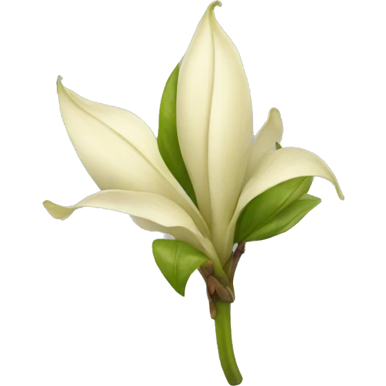 vanilla flower pod emoji