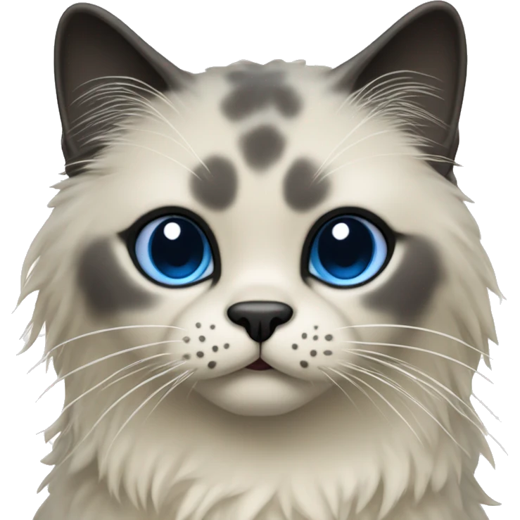 Seal point rag doll cat with dark face and blue eyes emoji