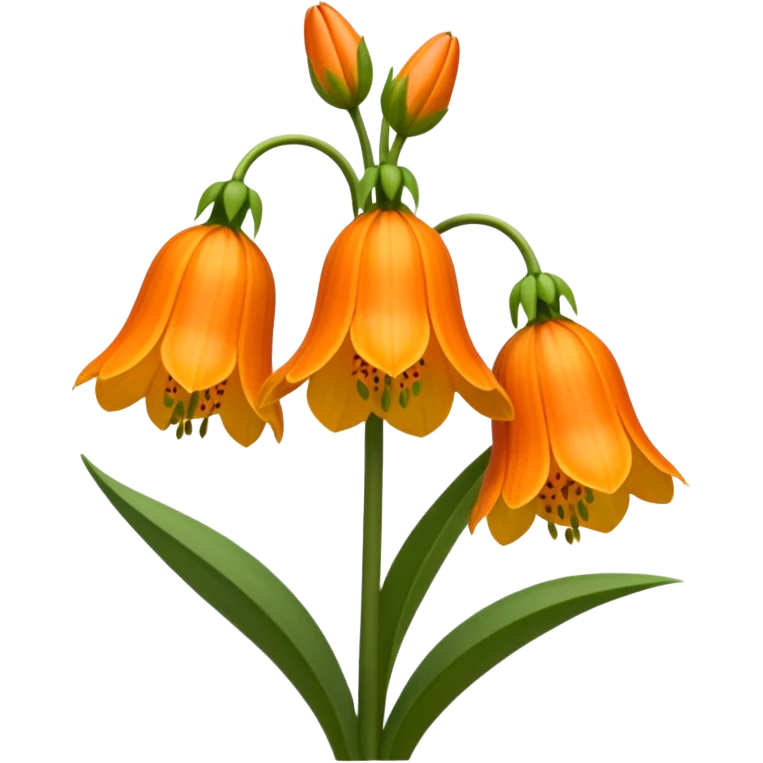 	fritillaria imperialis  emoji
