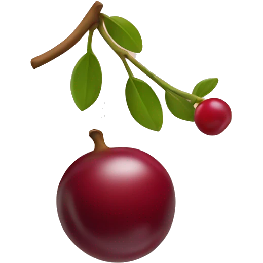 ok gesture hand holding a cranberry emoji