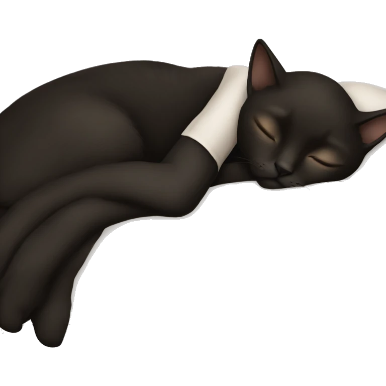 White girl brown hair sleeping with black cat emoji