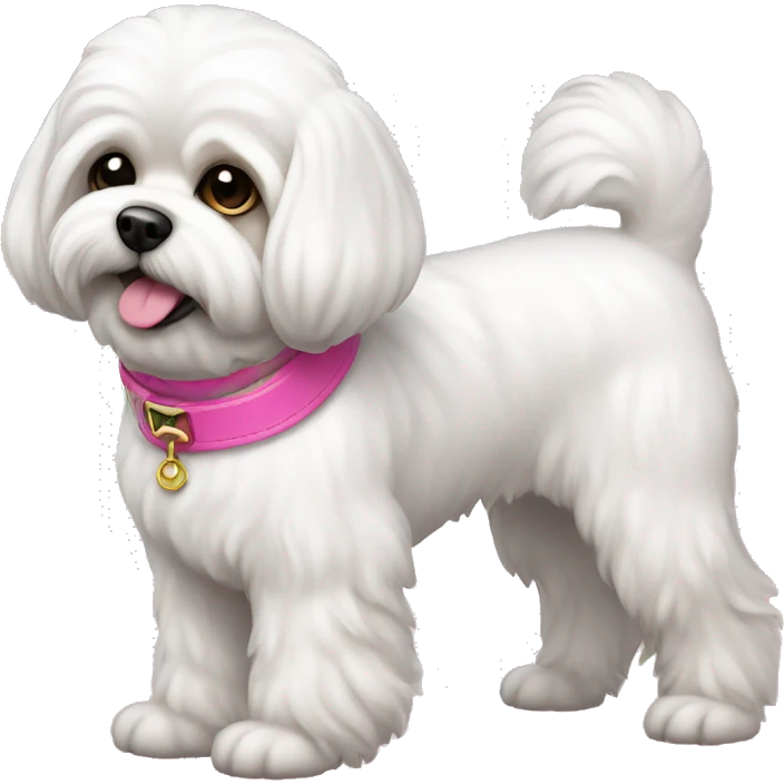 White Shichon dog with pink collar  emoji