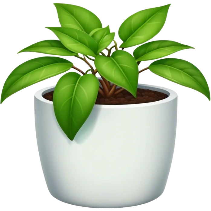 A Hoya Plant in a pot emoji
