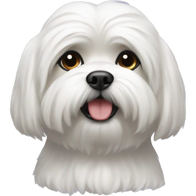White lhasaapso emoji