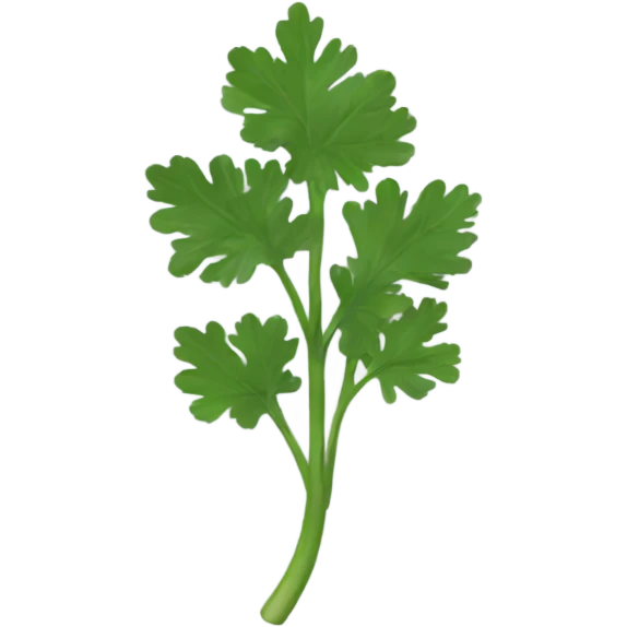 Coriander  emoji