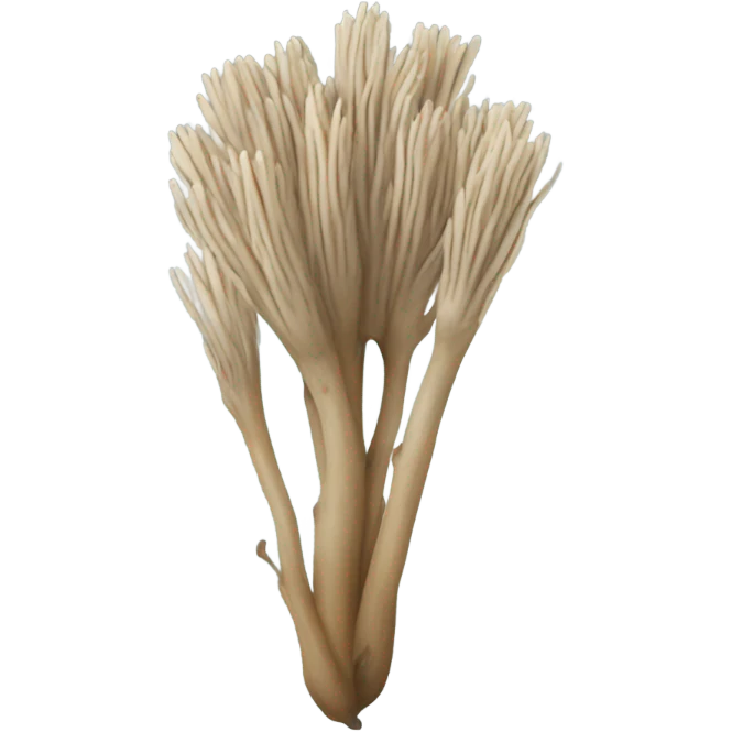 Burdock root emoji
