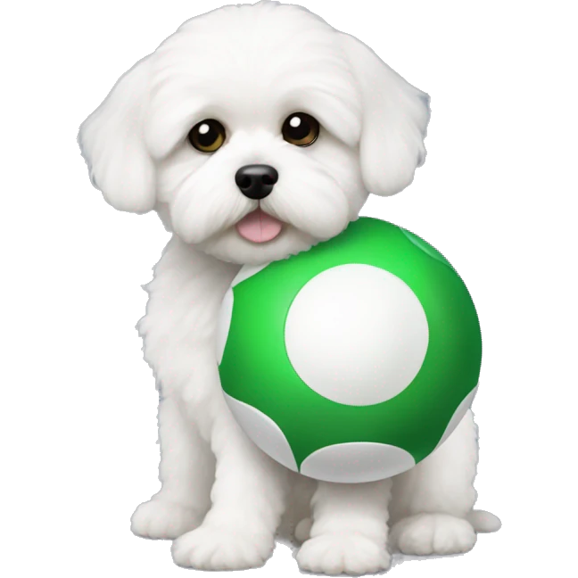 Little white Shihpoo holding a green ball emoji