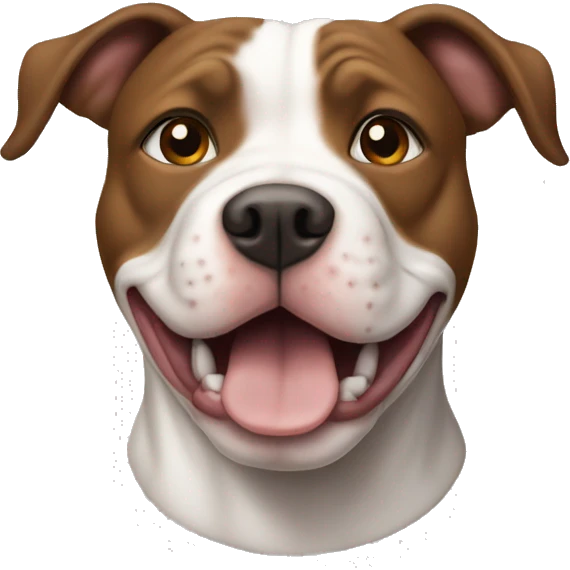 Pitt bull dog with white face and brown ears and nose  emoji