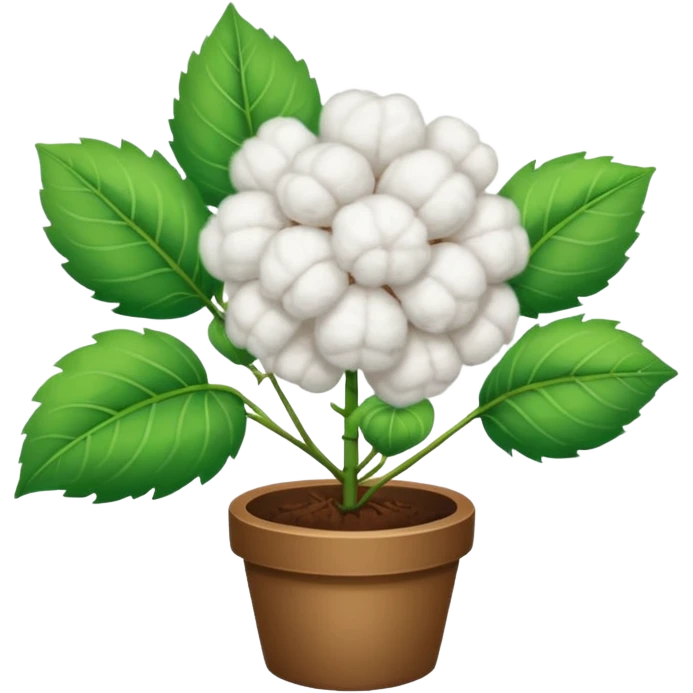 хлопчатник emoji