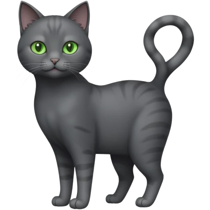 full body view of beautiful female solid dark grey cat with green eyes, grey face, white toes and white patch on chest emoji