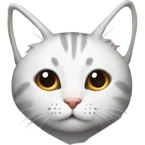 Cat in blanket emoji