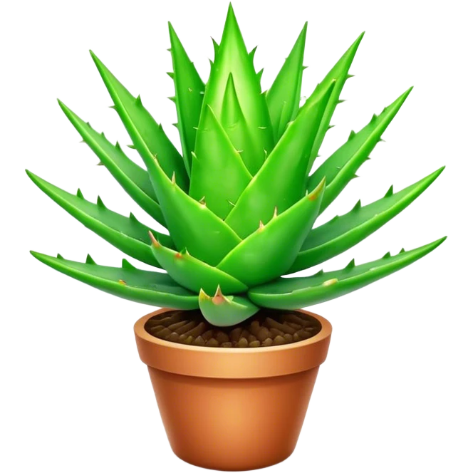 Cinematic Realistic Aloe Vera Emoji, Plump and succulent, with thick, fleshy leaves arranged in a star-like rosette. The vibrant green leaves have a slightly spiky texture, exuding a sense of resilience and healing. Soft glowing outline, capturing the essence of natural wellness and desert vitality in a flourishing aloe vera plant! emoji