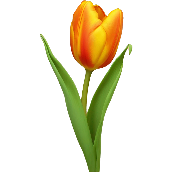 Orange and yellow tulip ￼ emoji