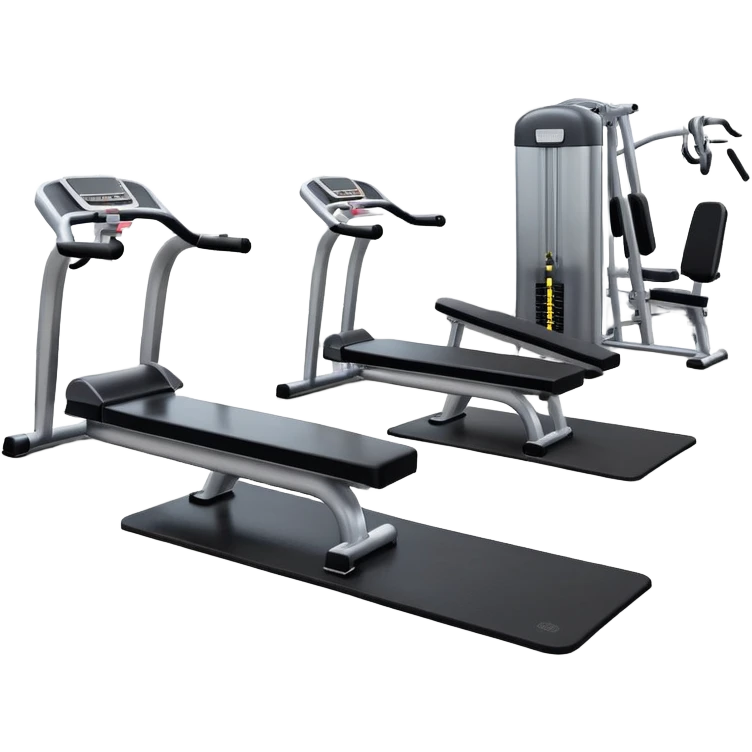 fitness gym with dumbbells and exercise machines emoji