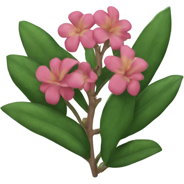 Poinettia emoji