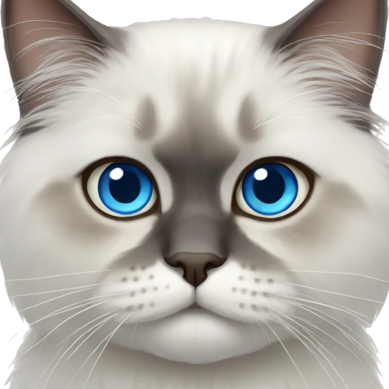 Persian cat blue eyes  emoji