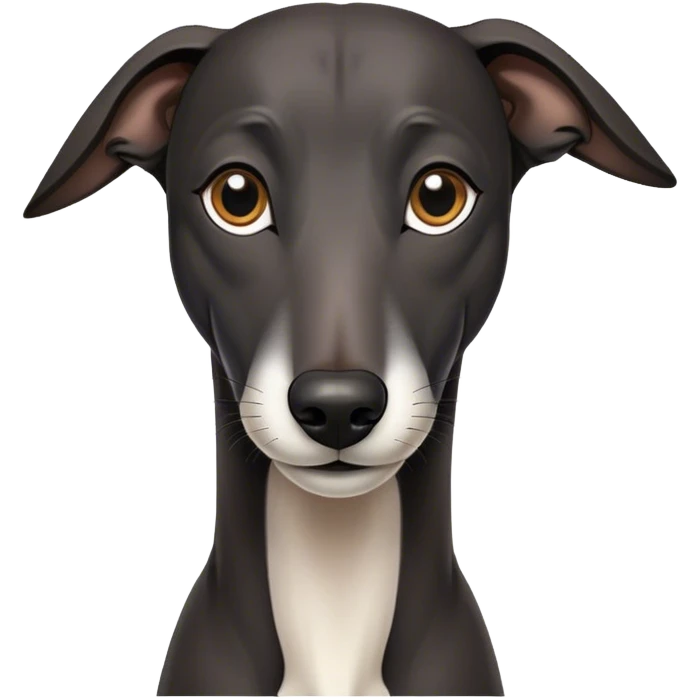 Black greyhound with white chin  emoji