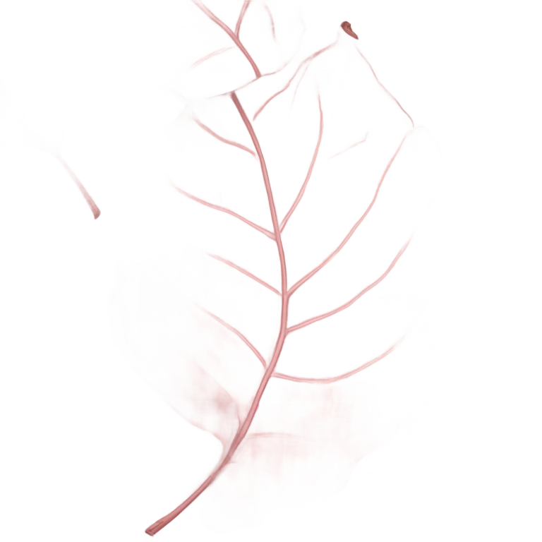 autumn light pink leaf emoji