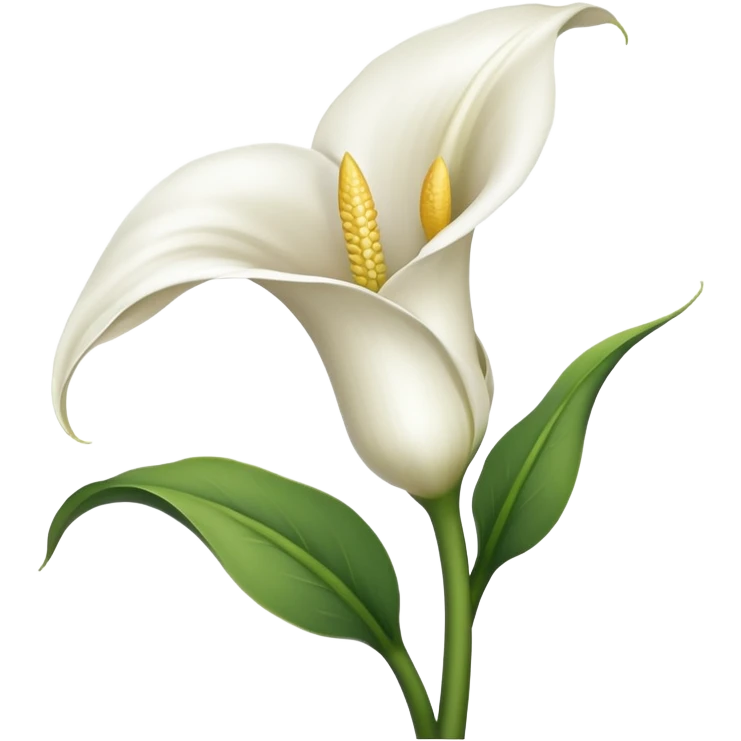 calla lily flower emoji