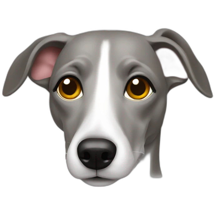 whippet i a bed emoji