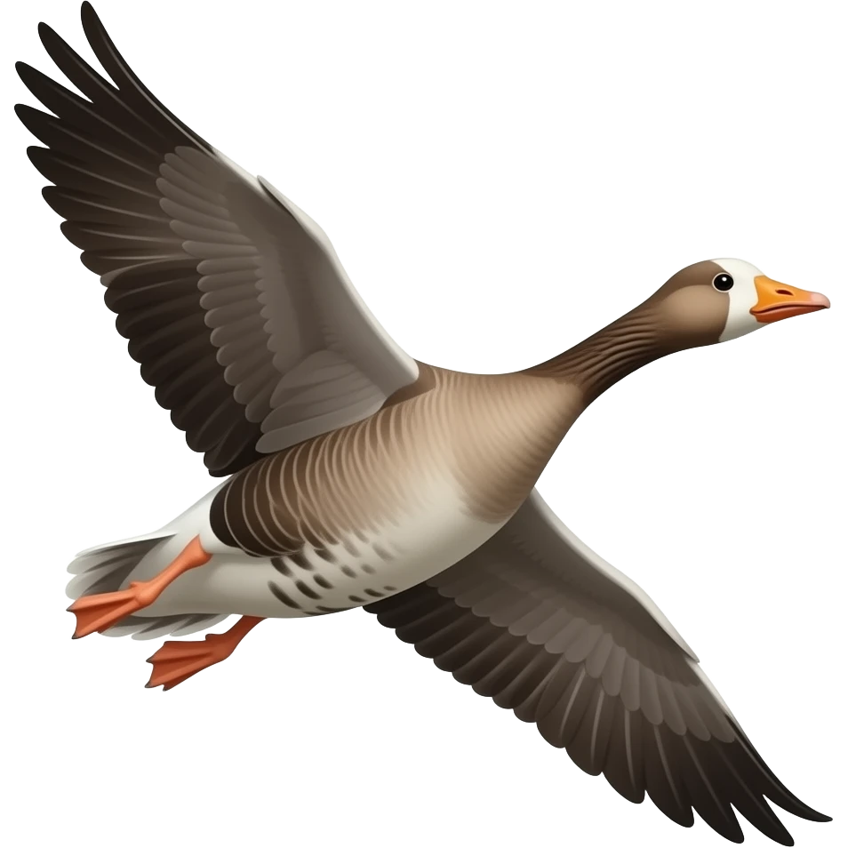 Greater White-Fronted Goose Flying emoji