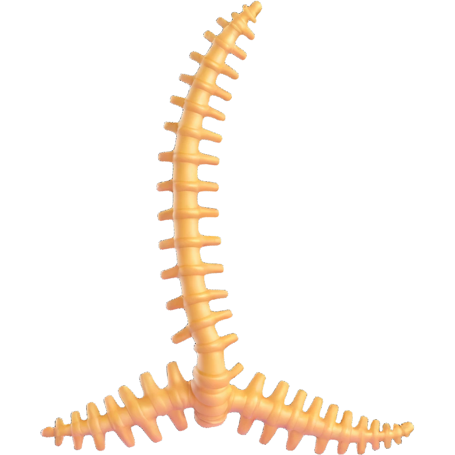 human spine, anatomical, floating emoji