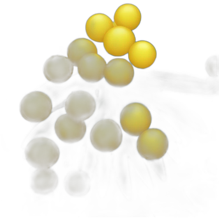 mimosa emoji