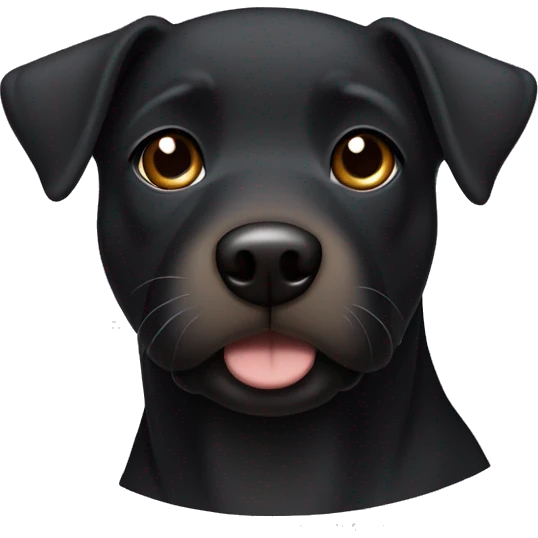 A black Patterdale Terrier dog with a white patch on its chest and brown eyes.  emoji