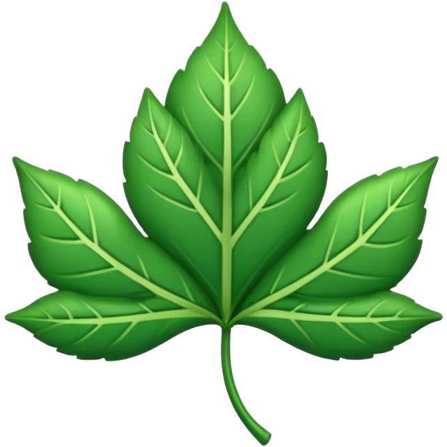 Trébol con 4 hojas a lado con nombre de Mati emoji