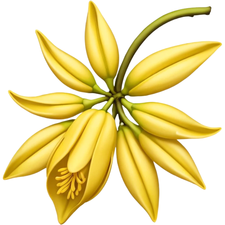 ylang ylang flower little closed emoji