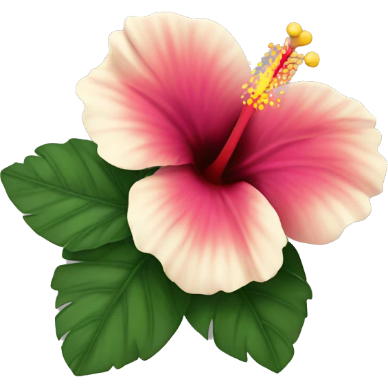 Hibiscus flower with white heart emoji