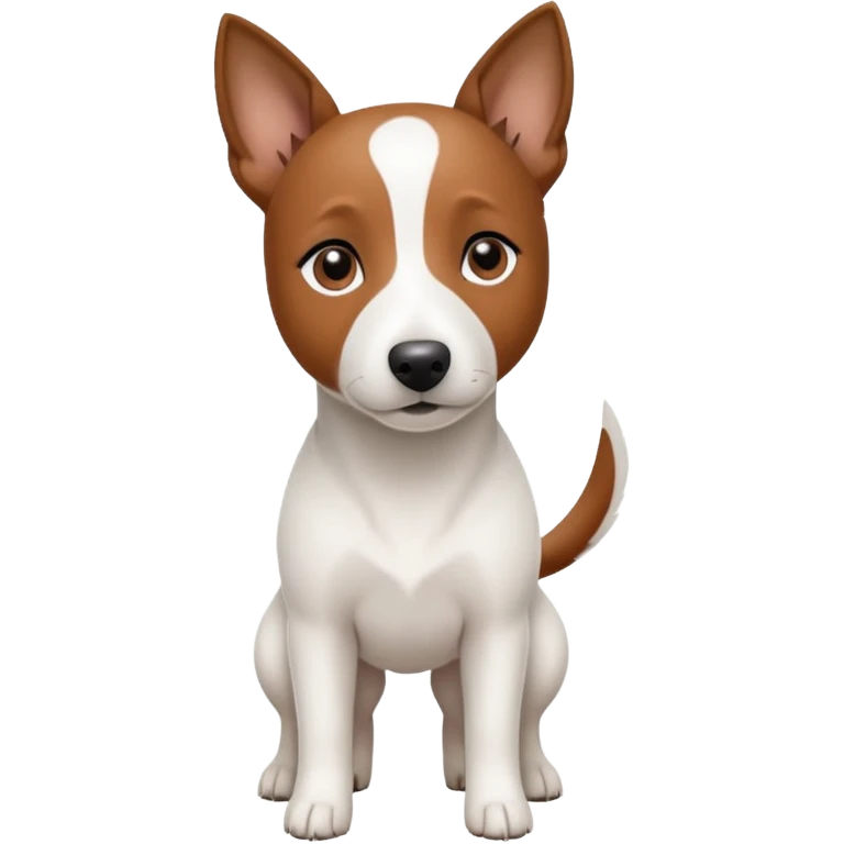 a fully white jack russell the size of a kelpie with a half white face emoji